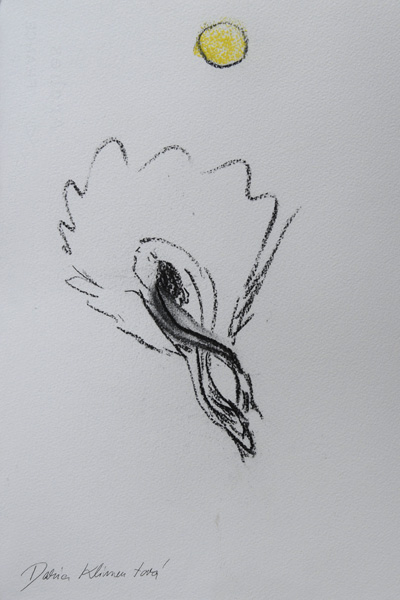 Swan Lake Daria 2
